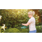 BOSCH EasyHedgeCut 18-45 gyvatvorių žirklės